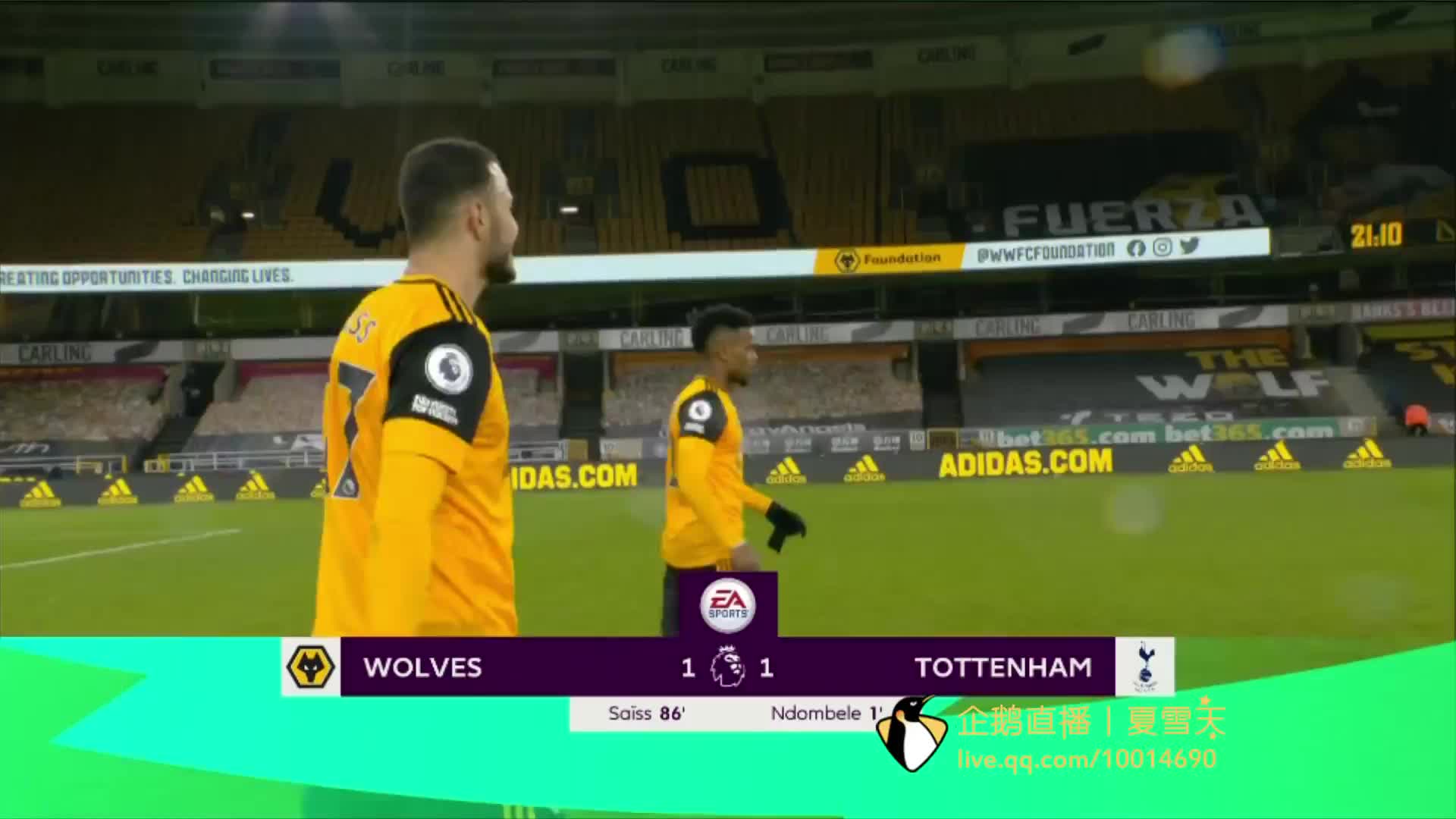 培养年轻球 培养年轻球