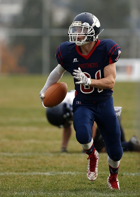 健康发展的 健康发展的