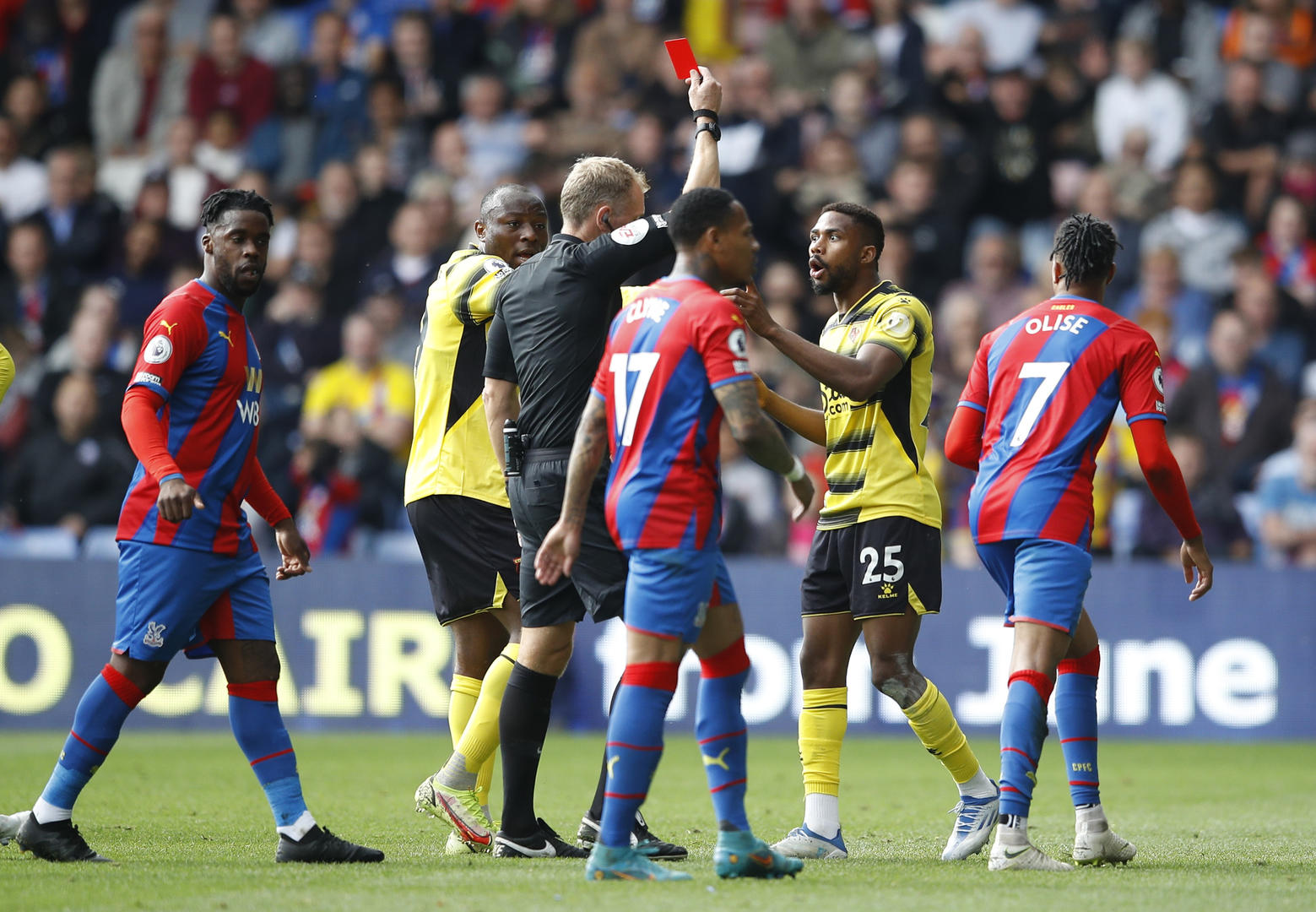 从水晶宫的 从水晶宫的